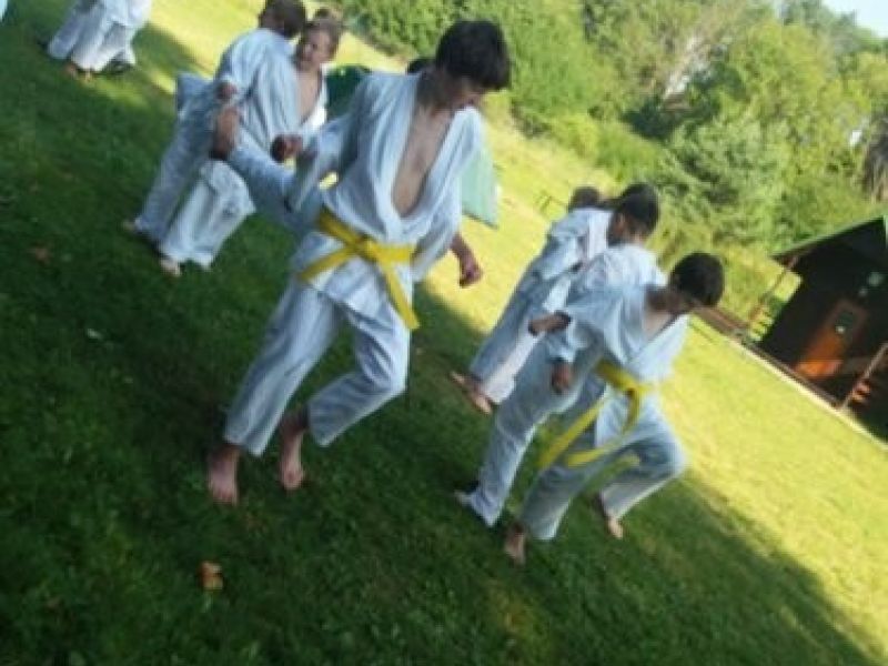 017