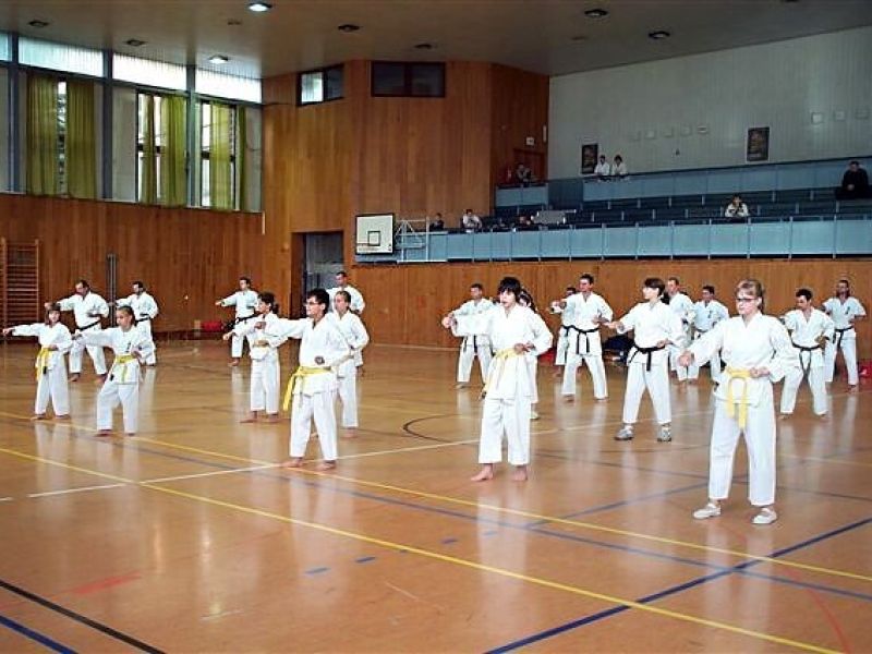 higatanvald2007_7931
