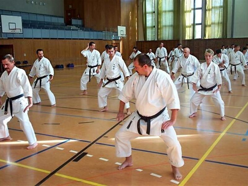 higatanvald2007_7949